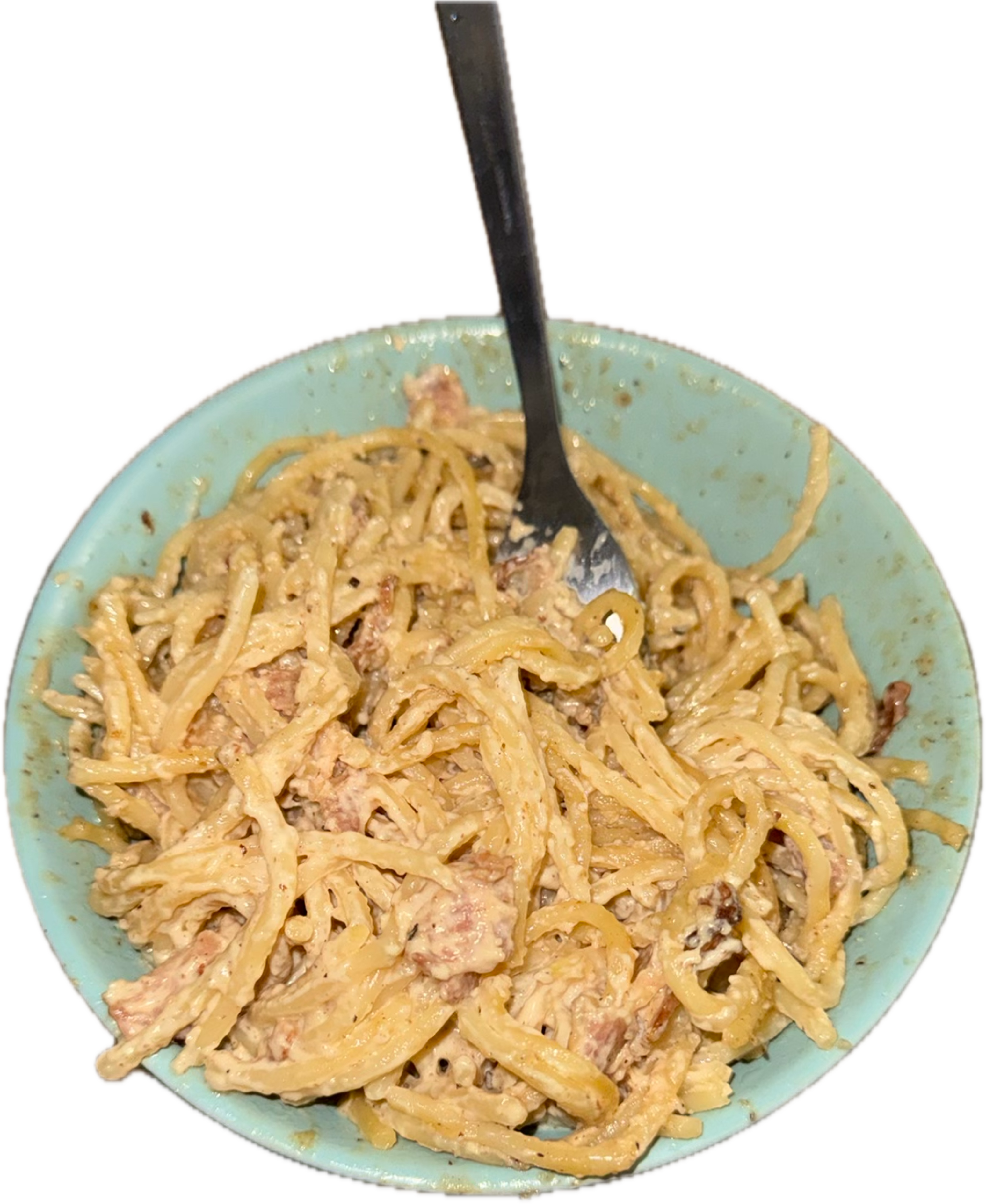 Recent meal 1